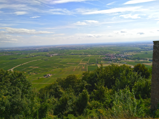 Auf dem Höhenweg zur Madenburg 2019